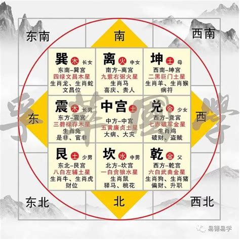 吸水象擺放2022|吸水大象勿亂擺？︱家居風水9大禁忌《昇Sir易學情玄